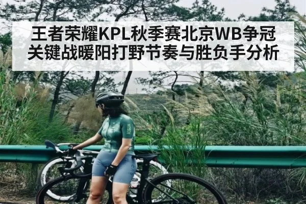 王者荣耀KPL秋季赛北京WB争冠关键战暖阳打野节奏与胜负手分析